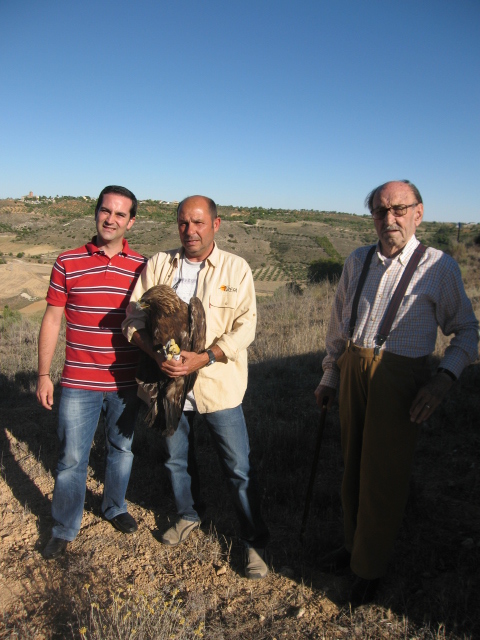 Fernando Garcés, secretario general de GREFA, se dispone a liberar al águila real Borges en Santorcaz (Madrid), con la colaboración de algunos cazadores.
