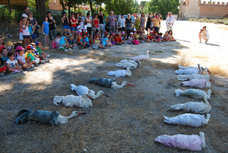 Libaración de cigüeñas blancas en Alcalá
