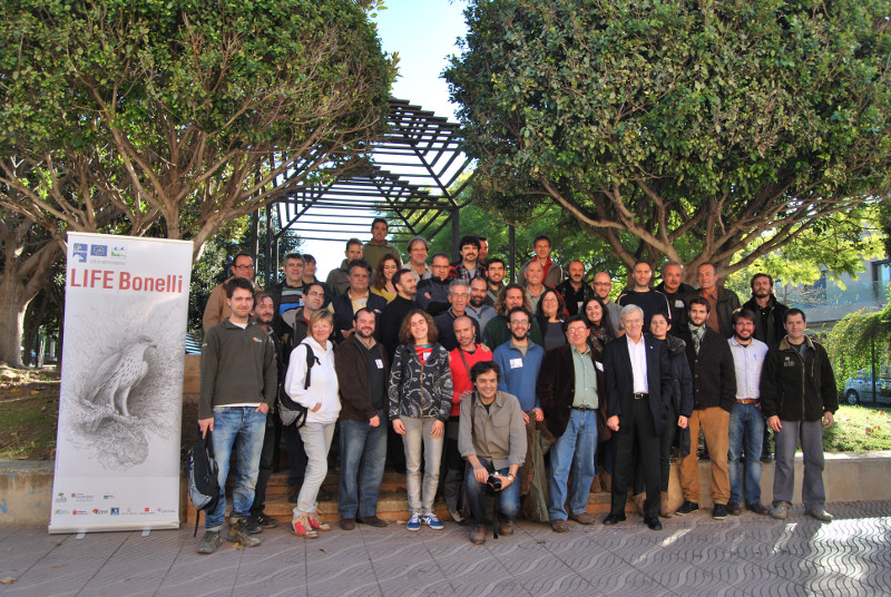 Foto de grupo de los participantes en el seminario del proyecto LIFE BONELLI celebrado en Palma de Mallorca (foto: Maripau Ruiz)