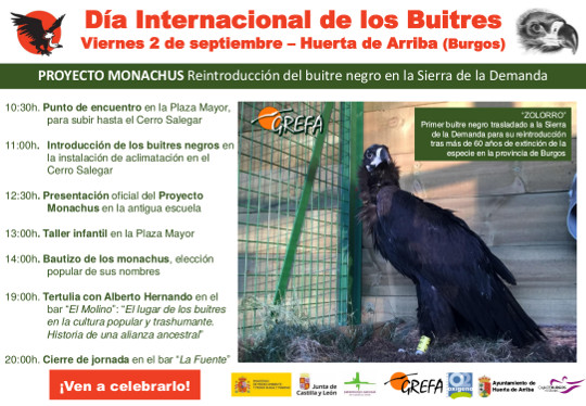 Actividades para el día de los buitres en Huerta de Arriba