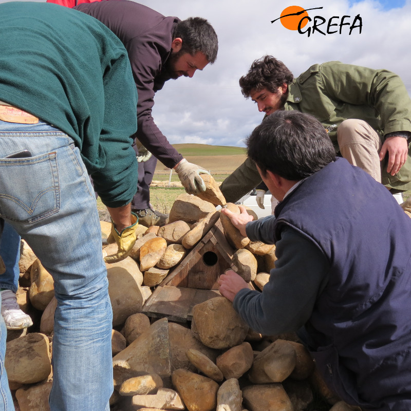 Momento de la colocación de algunos de los nidales instalados en el municipio de Rueda