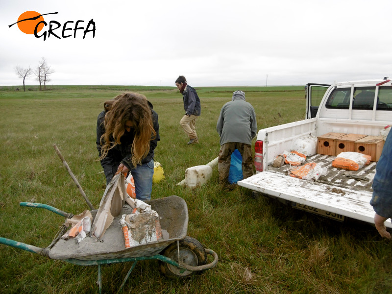 Varios voluntarios de GREFA preparan la instalacion de una caja nido en Tierra de Campos (Palencia).