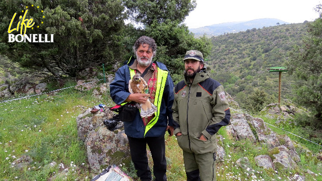 Ernesto Álvarez, de GREFA, sostiene a 'Adra', junto a un Agente Forestal de la Comunidad de Madrid.