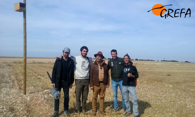 Miembros de "Aquí la Tierra" y de GREFA, durante la grabación en el otoño de 2016 de un reportaje sobre nuestro proyecto de control biológico de topillo en Villafruela (Burgos).