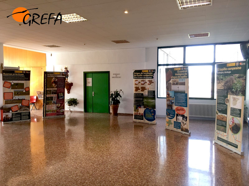 Paneles de la exposición de GREFA sobre control biológico del topillo, en la INEA de Valladolid.