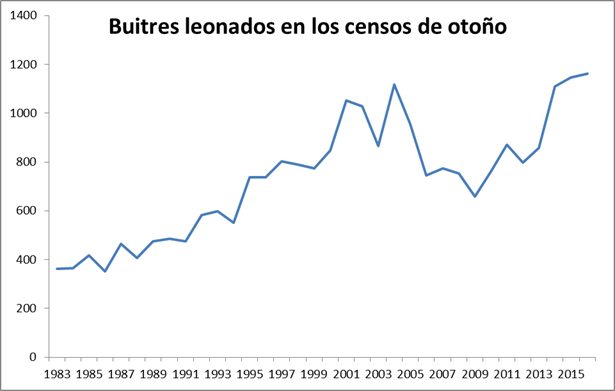Evolución de la población de buitre leonado de las Hoces del Riaza, a partir de los datos del Censo de Otoño organizado por el Fondo para el Refugio de las Hoces del Riaza.
