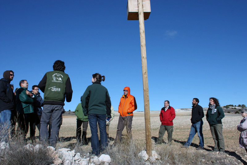 Un miembro de GREFA explica el proyecto de control biológico del topillo campesino junto a una caja nido para cernícalo vulgar instalada en Montejo de la Vega (Segovia), en el entorno de las Hoces del Riaza.