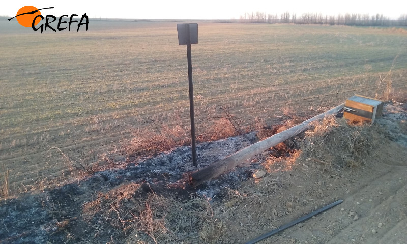 Una caja nido para cernícalos y su poste yacen en el suelo tras ser destruidos por una quema realizada para erradicar el topillo en Boada de Campos (Palencia).