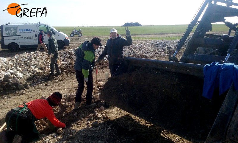 Voluntarios y vecinos de Villafruela (Burgos) aportan tierra en una plantación anterior.