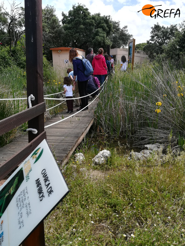 Un grupo de visitantes recibe explicaciones del trabajo de GREFA junto a la charca de los anfibios.