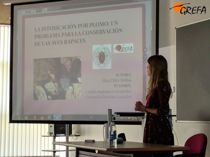 Elisa Villén, durante la presentación de su trabajo sobre intoxicación por plomo en rapaces.