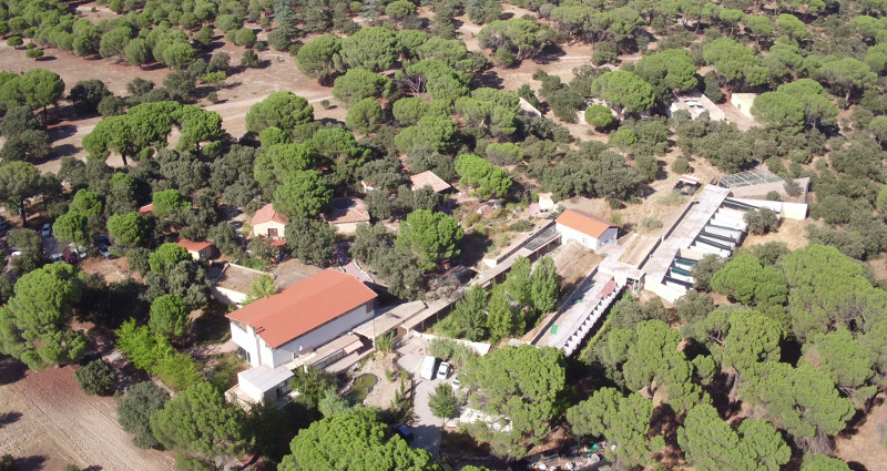 Vista aerea de las instalaciones de GREFA en el Monte del Pilar (Majadahonda, Madrid), donde el 1 de junio celebraremos nuestra clásica Jornada de Puertas Abiertas.