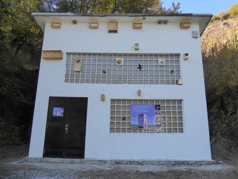Caseta de transformador rehabilitada como punto de biodiversidad en Belesar (Villalba, Lugo).