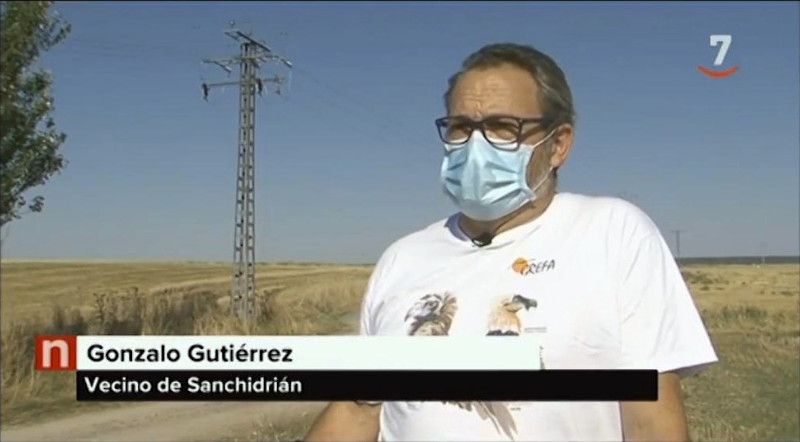 Gonzalo, socio de GREFA, a finales del pasado agosto ante las cámaras de La 7 de Castilla y León Televisión para denunciar los casos de electrocución de aves en Sanchidrián (Ávila).