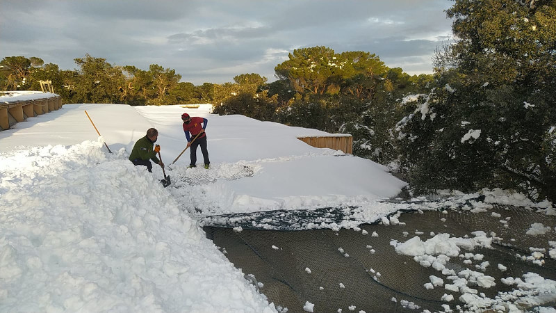 Two GREFA workers shovel the accumulated snow on a roof of our wildlife hospital.