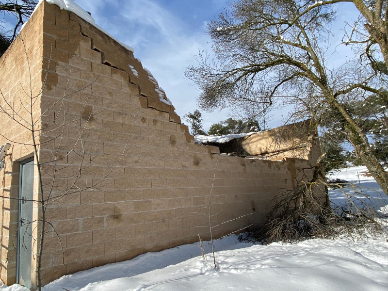 Damage from falling trees in an Egyptian vulture captive breeding facility.
