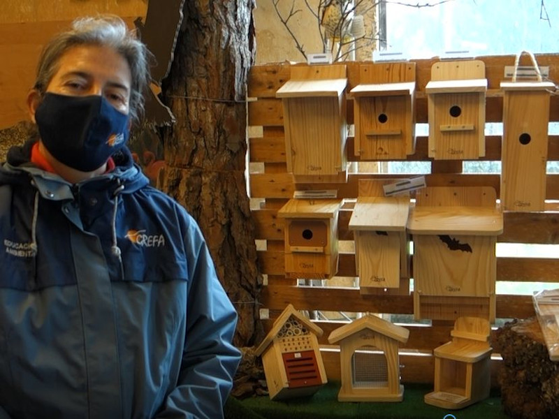 Una educadora de GREFA junto a las cajas nido realizadas en un taller para público adulto.