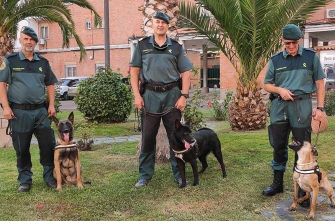 Unidad canina del Seprona especializada en detectar cebos envenenados.