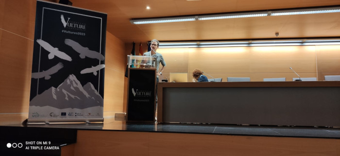 Charla sobre el Proyecto Monachus de GREFA en la European Vulture Conference celebrada en Cáceres, a cargo de Davide Montanari.