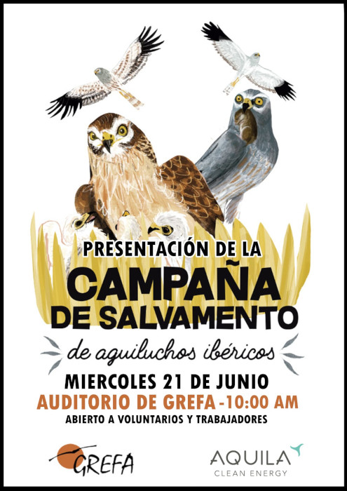 Cartel de la presentación de la campaña de salvamento de aguiluchos ibéricos que convocamos el pasado 21 de junio.