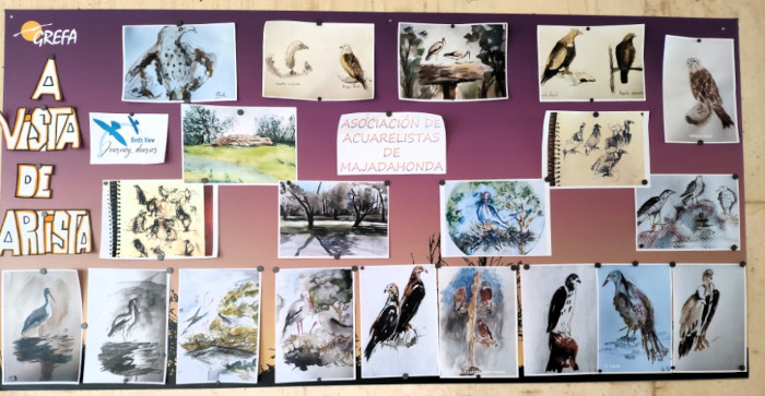 Dibujos realizados por miembros de la Asociación de Acuarelistas de Majadahonda en el marco del proyecto ‘A vista de pájaro: Diarios de viaje’.