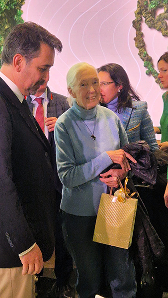 Jane Goodall en el momento de recibir el regalo que en nombre de GREFA le entregó una de nuestras voluntarias.
