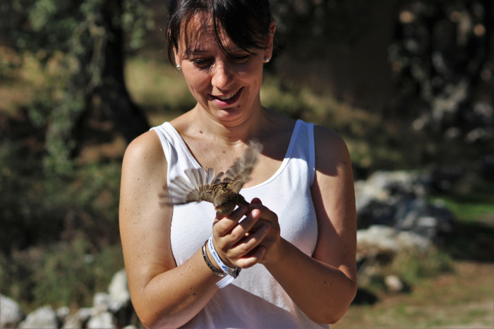 Una madrina libera un gorrión que ha pasado por el hospital de fauna de GREFA.