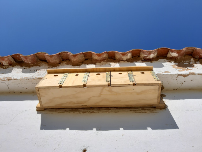 "Gorrionera" horizontal con cinco nidos diseñada por GREFA e instalada en la pared de una construcción rural.