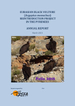 2014 report black vulture in Pyrenees (English)