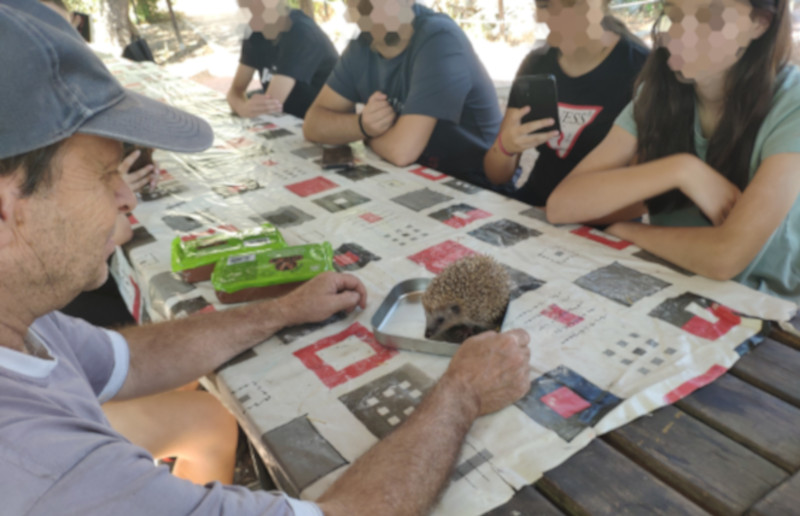Participantes en el campus, con un erizo del hospital de fauna salvaje de GREFA.