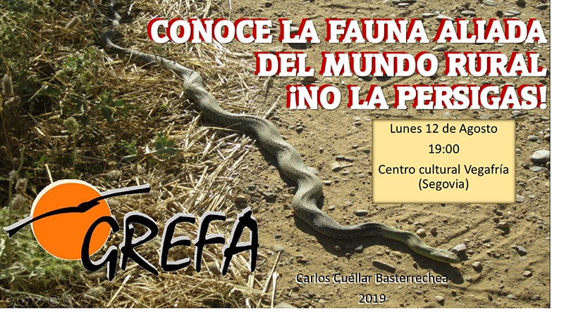 Cartel de la charla que dio GREFA en Vegafría (Segovia) el pasado 12 de agosto.