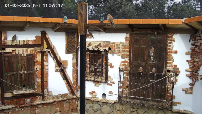 Instalación del primillar vista desde las cámaras.