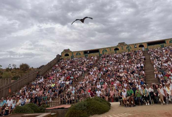 Espectáculo de ceterería durante la celebración del Día del Buitre en Puy du Fou.