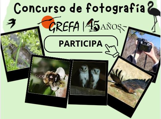 Concurso de fotografía