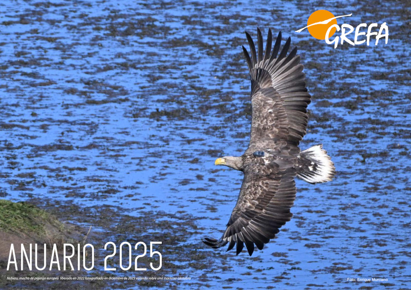 Portada Anuario 2025