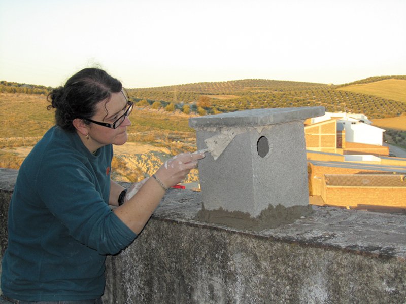 Adecuación de silos para la nidificación del cernícalo primilla dentro del proyecto "Corredores para el Primilla. Generando Biodiversidad"