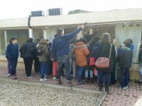 Alumnos y profesores se agolpan frente a los ventanales que dan acceso visual a la enfermería del hospital de fauna de GREFA.