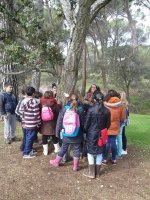 Alumnos del colegio de La Guindalera rodean un alcornoque durante la senda naturalista incluida en el programa de educación ambiental de GREFA.