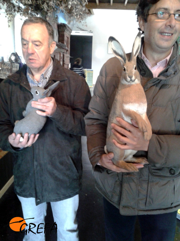 De izquierda a derecha Pablo Martínez Flores y José García Gonzalo, de la asociación Igualar, con las maquetas de un conejo y una liebre.