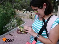 Una mujer invidente toca la réplica de una rana común.