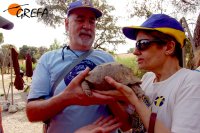 Dos personas invidentes aprenden a reconocer por el tacto una de las tortuga de tierra que viven en el centro de GREFA.