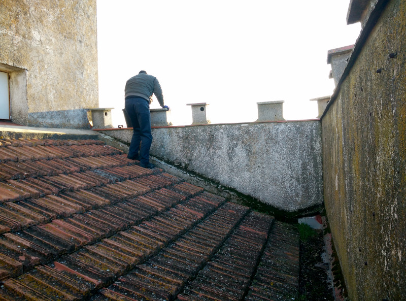 Un trabajador de GREFA limpia un nidal de cernícalo primilla en el silo de Monesterio (Badajoz).