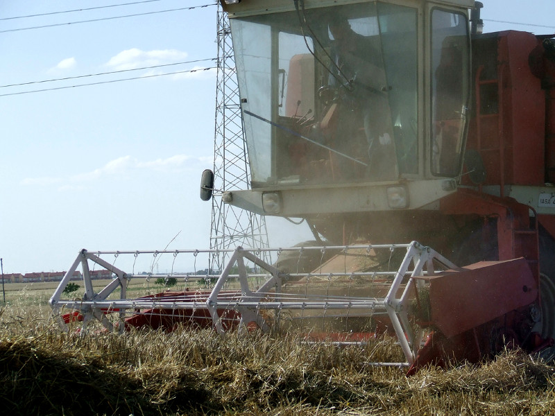 Máquina cosechadora en plena tarea en un secano de una zona madrileña donde cría el aguilucho cenizo.