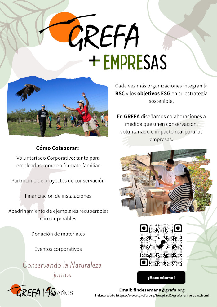 Cartel promocional del programa GREFA+Empresas.