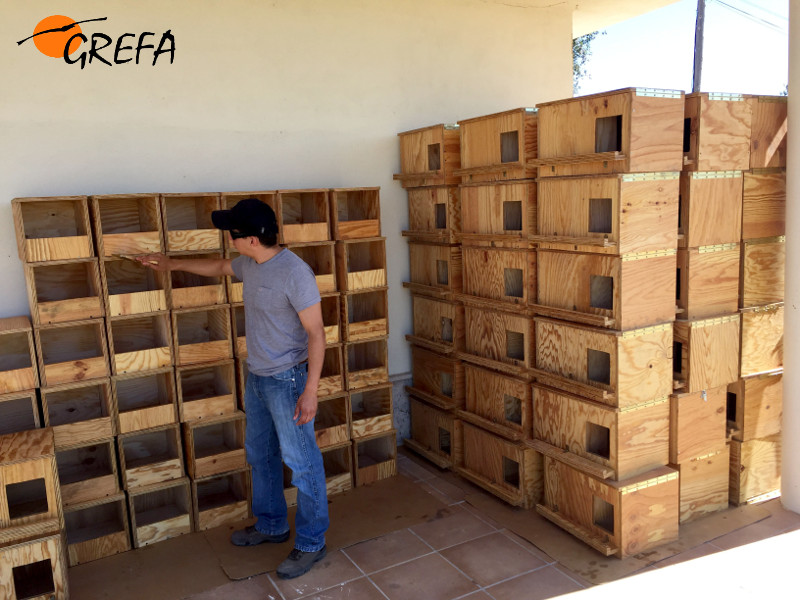 Cajas nido para rapaces depredadoras de topillos, tras ser construidas por los voluntarios del campo de trabajo internacional. Foto: GREFA.