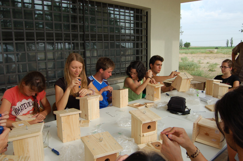 1. Varios jóvenes del campo de trabajo internacional de Villalar de los Comuneros (Valladolid) participan en un taller de construcción de cajas nido para aves (foto: GREFA).