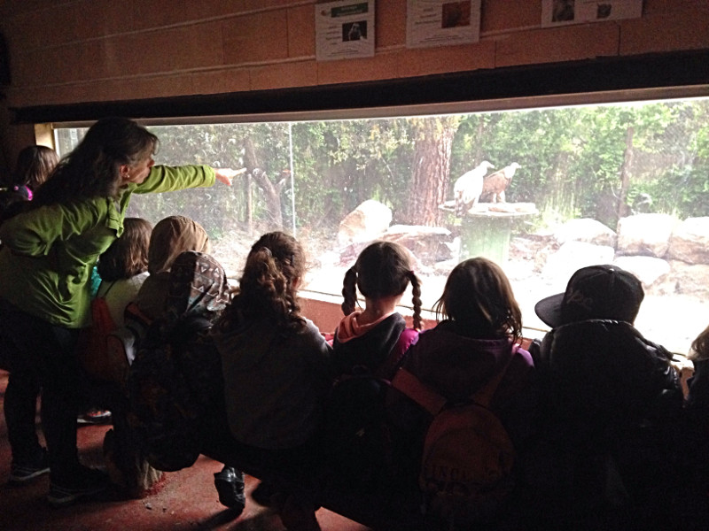 Escolares y una monitora en el recinto de aves carroñeras del centro de educación ambiental “Naturaleza Viva” de GREFA