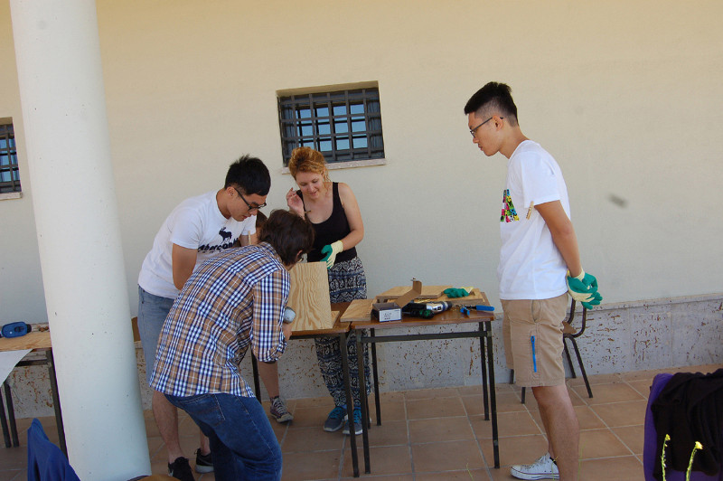  Varios jóvenes del campo de trabajo internacional de Villalar de los Comuneros (Valladolid) construyen una caja nido para rapaces. Foto: GREFA.