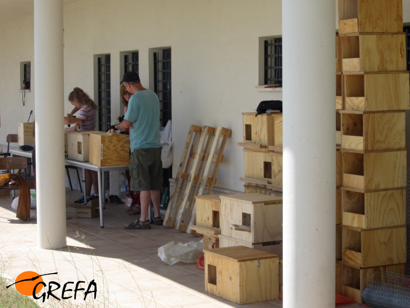 Varios voluntarios construyen cajas nidos para aves en el campo de trabajo internacional de Villalar de los Comuneros (Valladolid). Foto: GREFA.