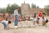 Liberación de cigüeñas en Alcalá de Henares